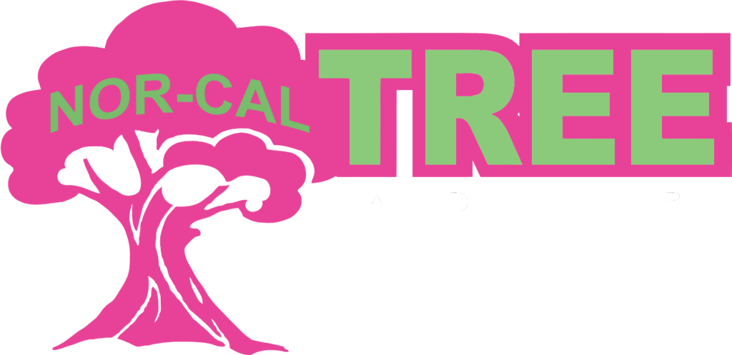 Nor-Cal Tree and Stump Logo